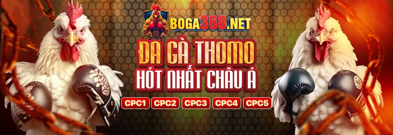 Đá gà trực tuyến rm88
