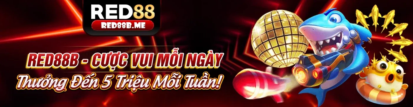 rm88 Chính sách Bảo mật: Bảo vệ dữ liệu cá nhân của bạn